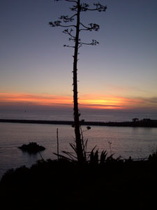 Catalina Island Sunset, in the Cottage Gallery at Cottages and Gardens
